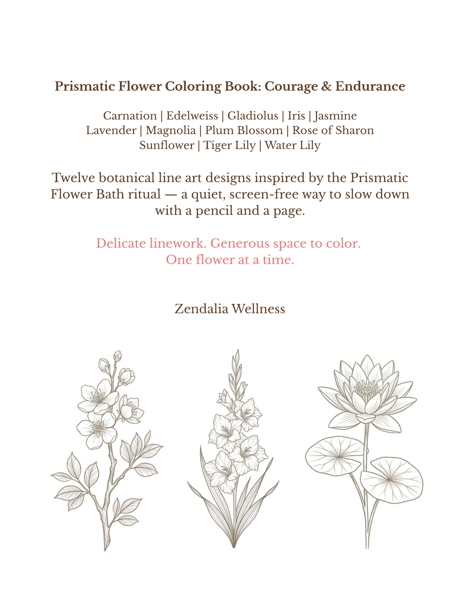 Prismatic Flower Coloring Book Two Back.png