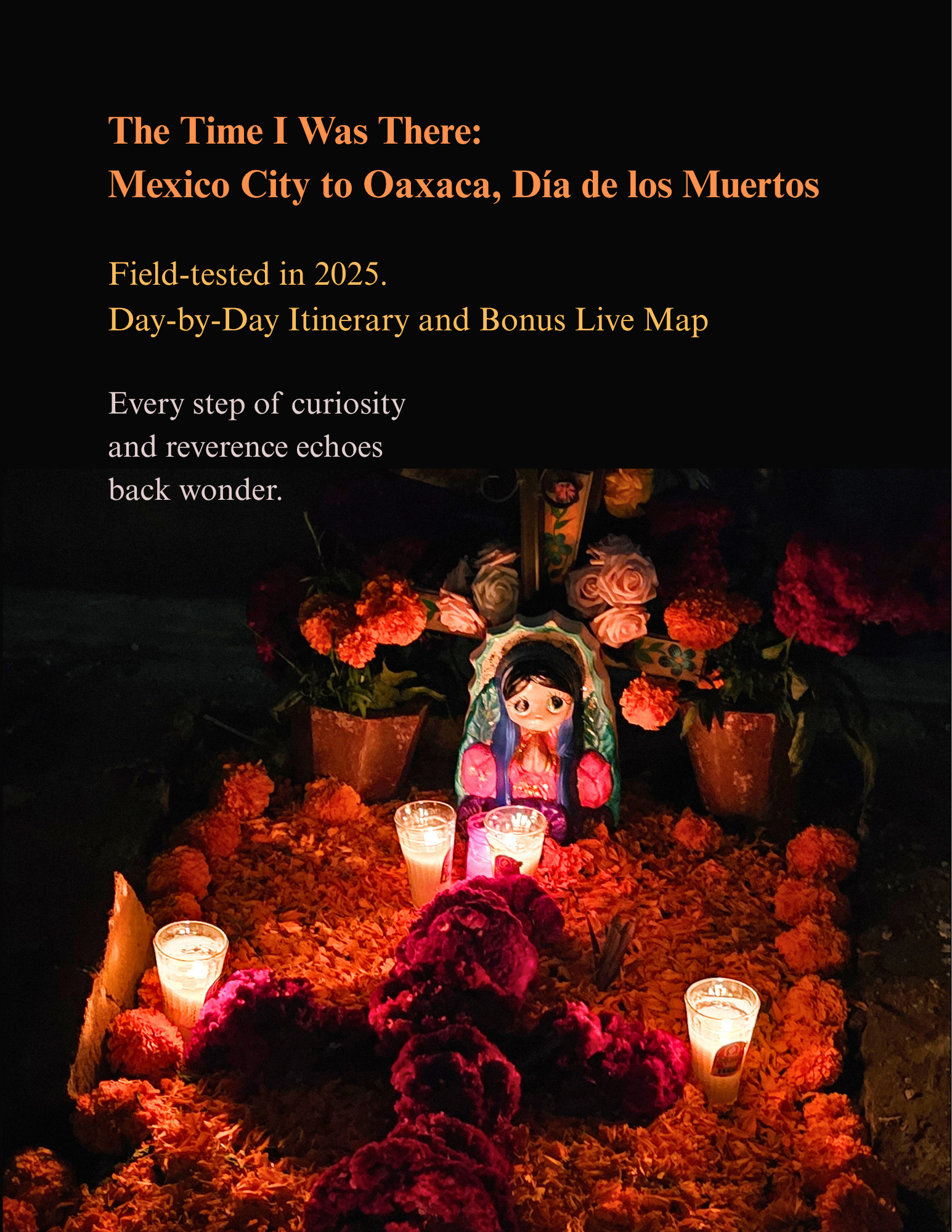 TTIWT Oaxaca Day of the Dead Cover.png