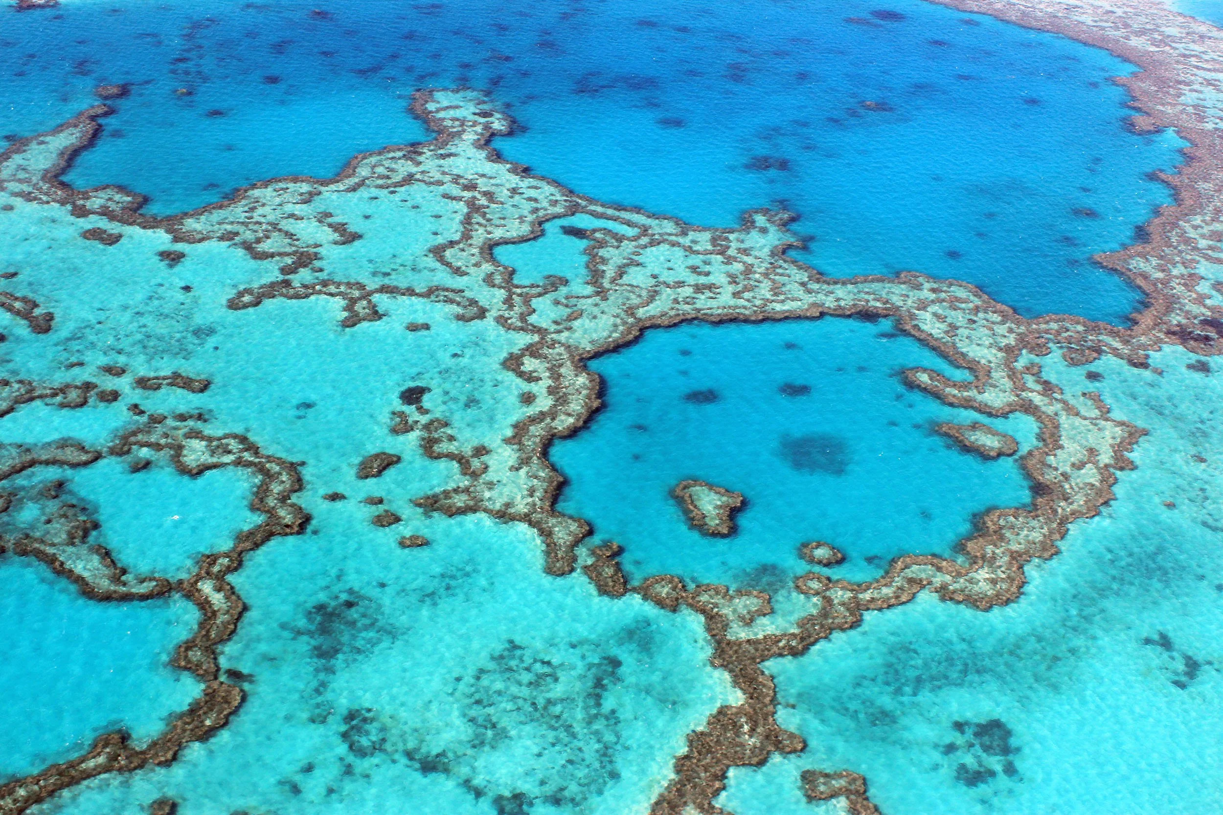 Great Barrier Reef Marine Park Authority