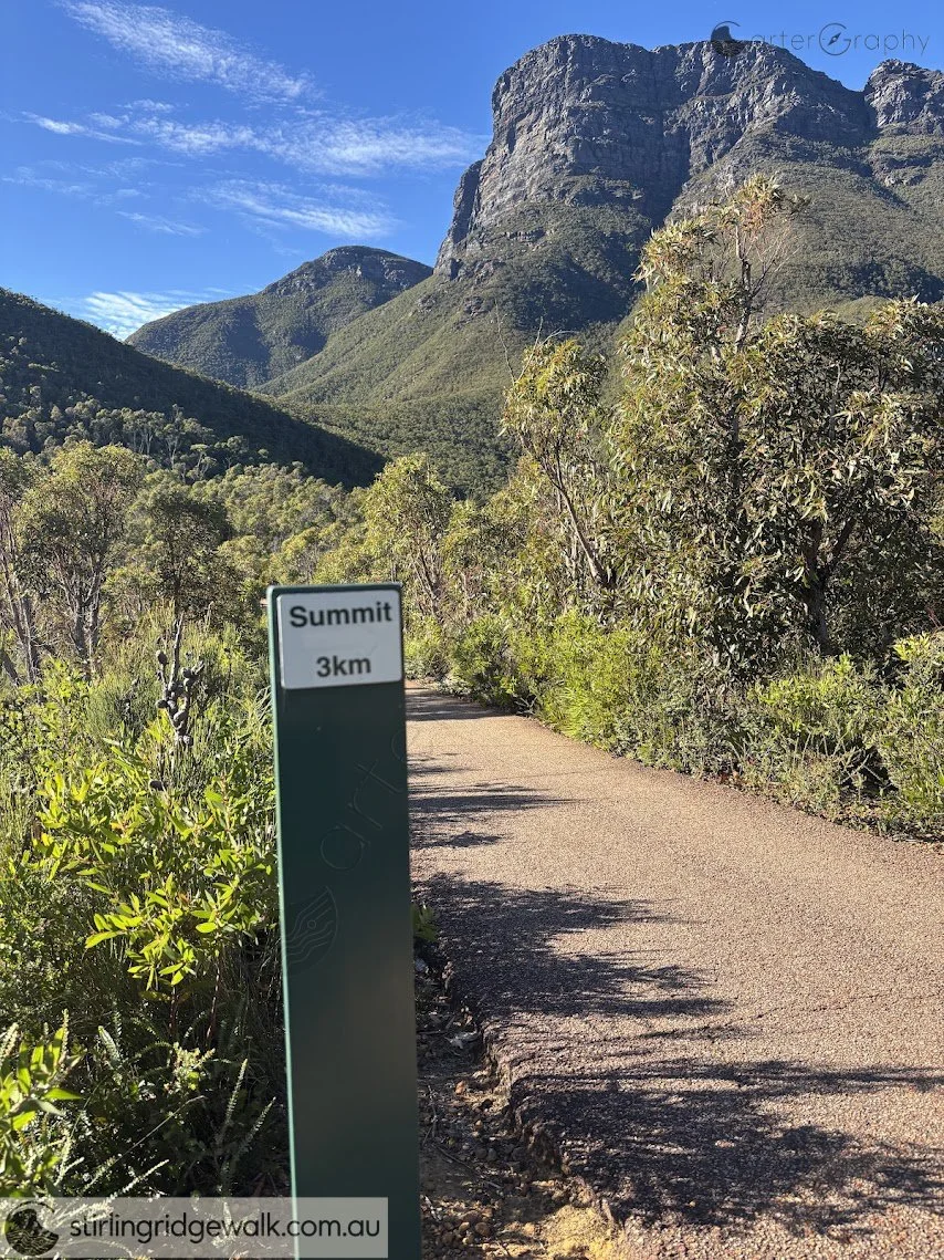 Approximately 100 metres from Start of ascent to summit. Bluff Knoll in foreground with East Peak behind.