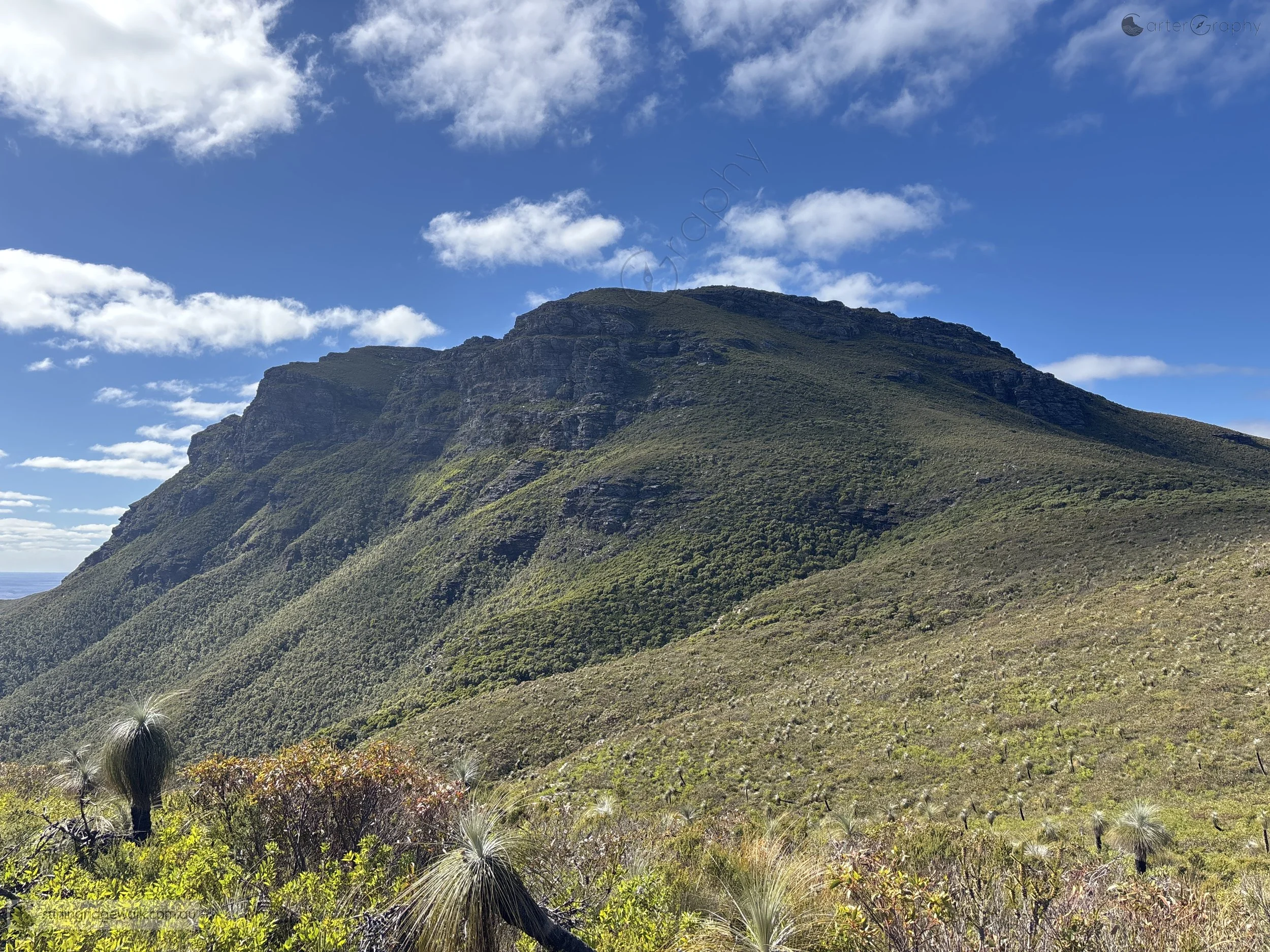 Looking north east to the Isongerup Peaks