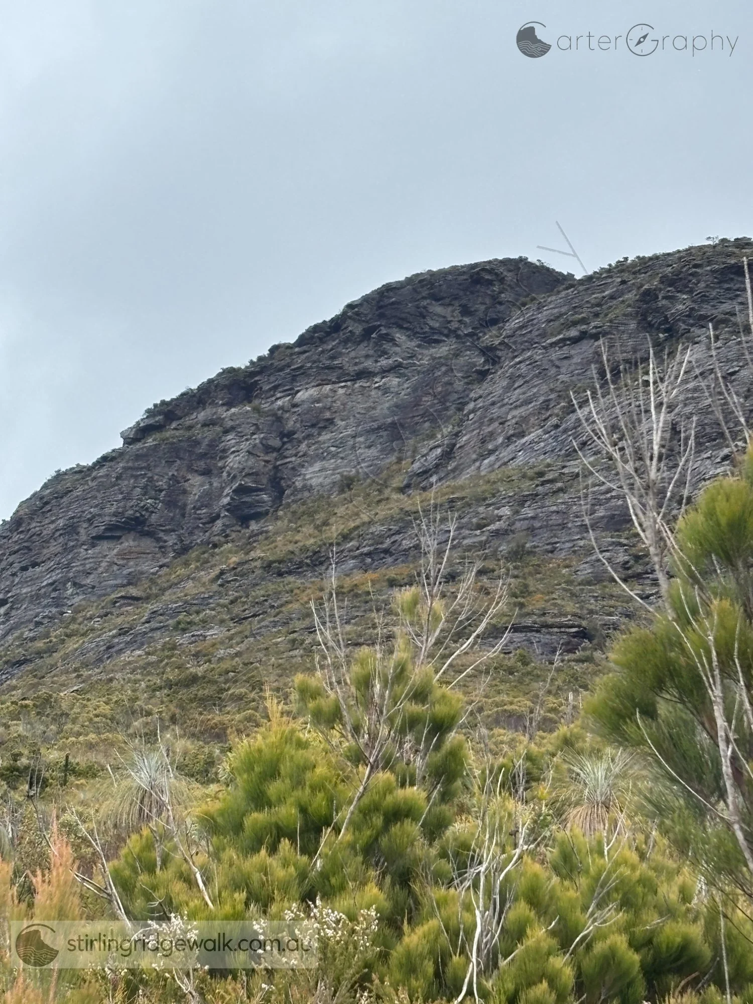 A closer view of the steep route towards Ellen Peak summit, ascending through the cleft between the two rocky summits.