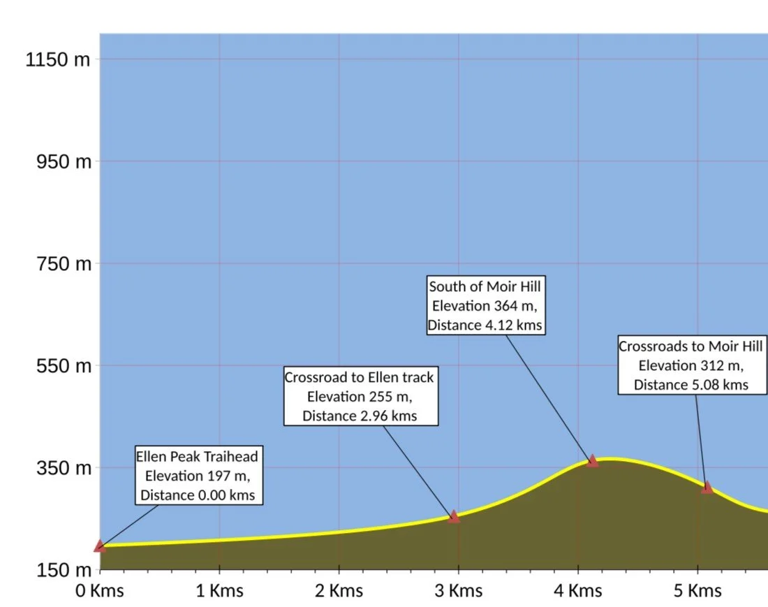 A1 Map 1 Full ridge June 10 V2.jpg