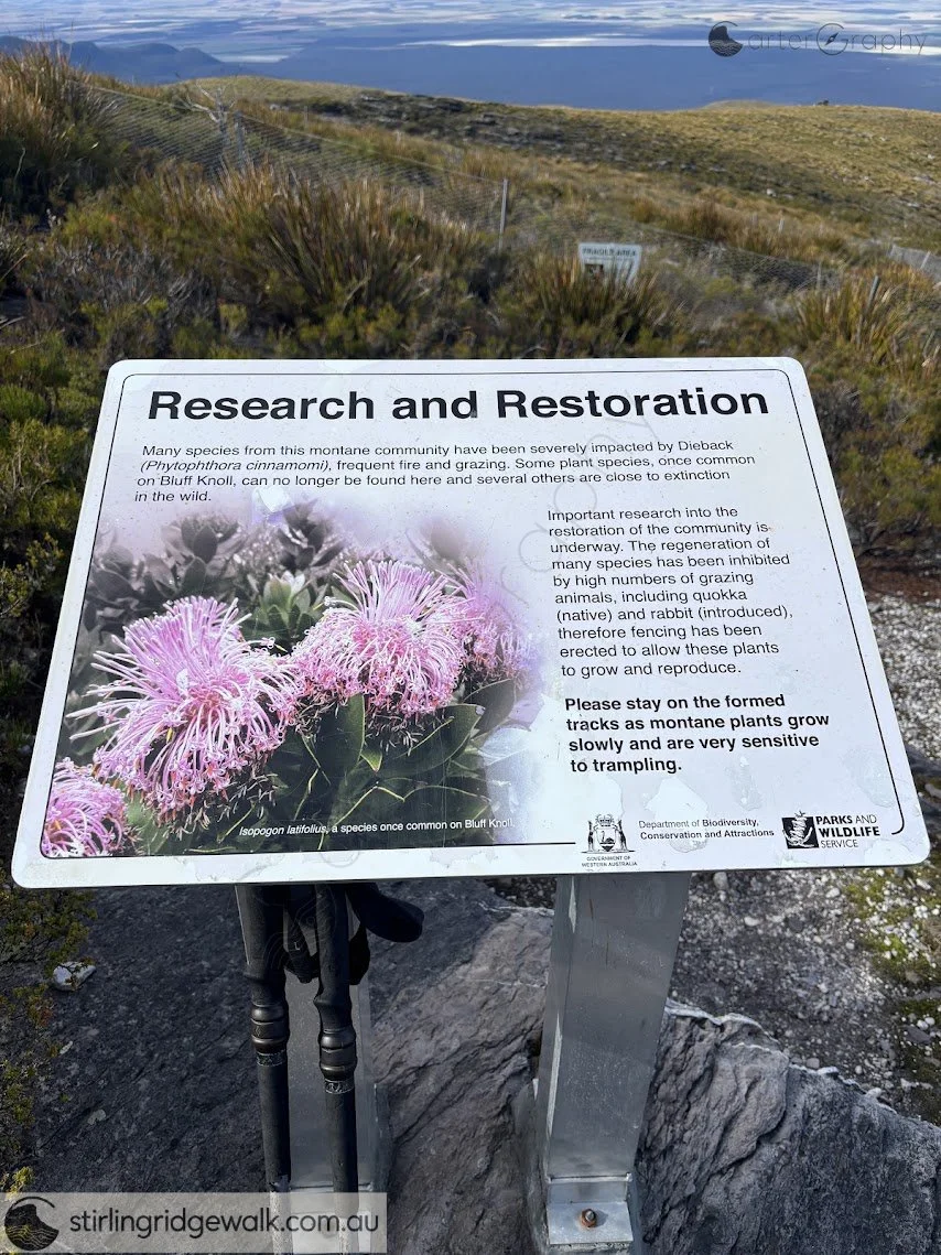 Approximately 50 metres south east of Bluff Knoll summit.