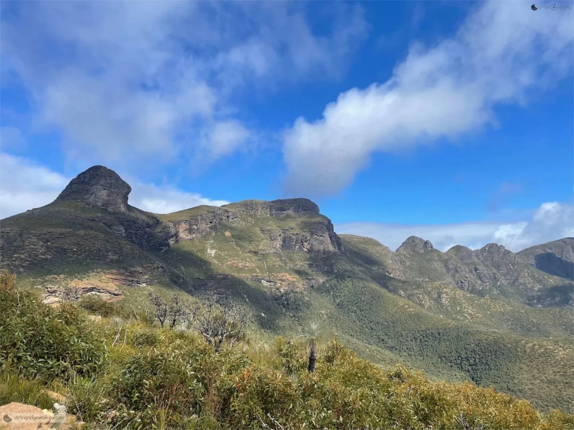 Looking across the Stirling Ridge Walk from the northern ridge on the approach to Ellen Peak, with Ellen Peak on the left, followed by Pyungoorup Peak, Baker’s Knob, 3rd Arrow, 2nd Arrow and 1st Arrow.