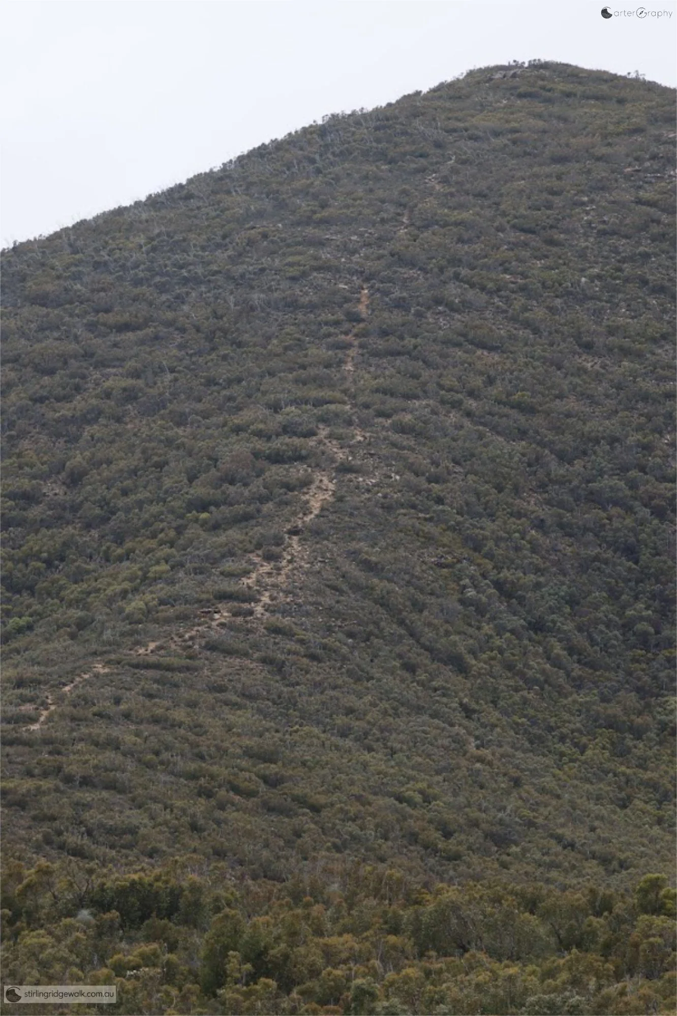 The start of the ascent along the northern ridge towards Ellen Peak.