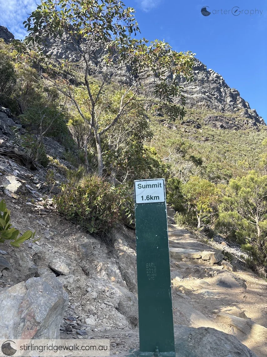 500 metres into the ascent to Bluff Knoll