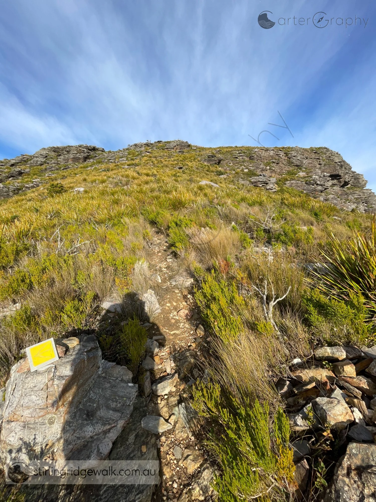 Standing at the yellow ground marker, looking west along the track towards Pyungoorup Peak.