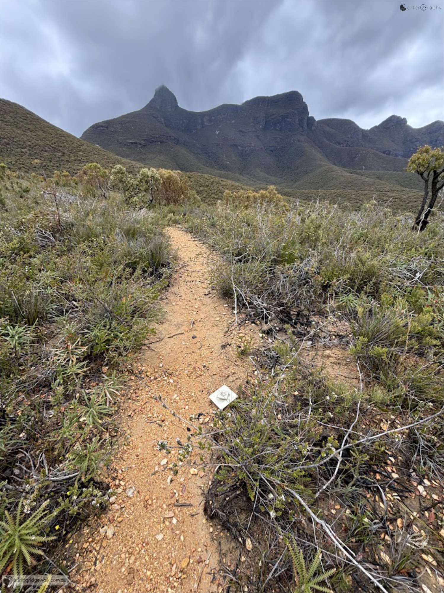 Ground marker indicating the route shortly before the ascent of the northern ridge towards Ellen Peak.