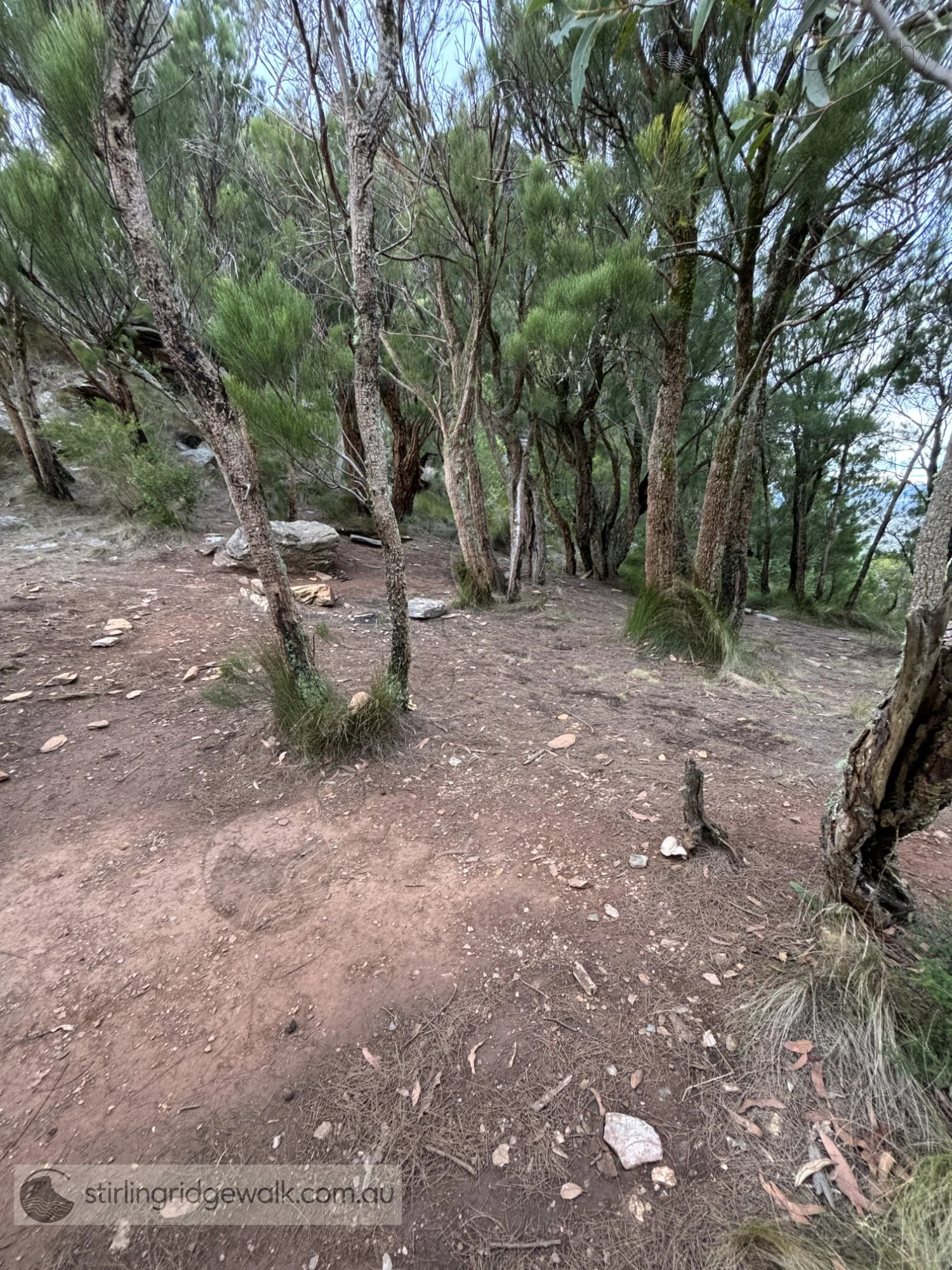 Sheoak Col campsite, a relatively sheltered campsite approximately 100 metres west of the Rock Castle Gully.