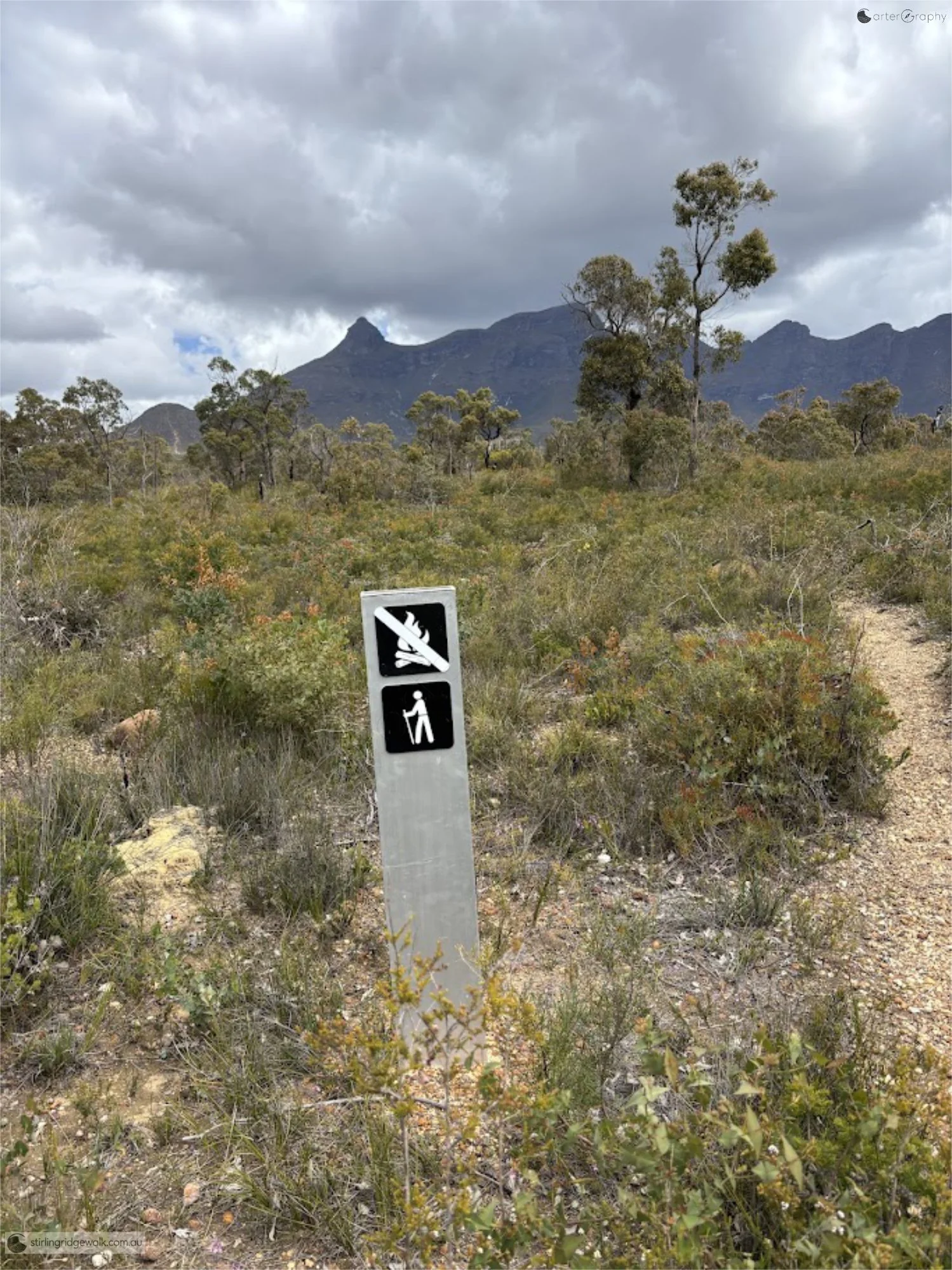 The sign marking the turnoff from the North East Track towards Ellen Peak.