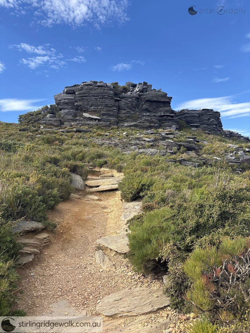 Heading east on the ascent for approximately 150 metres until the track to the summit tends north east.