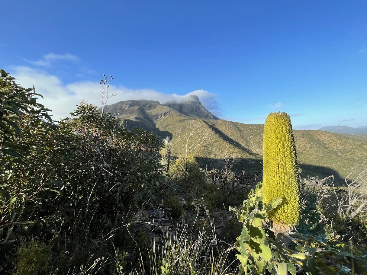 Taken from North Isongerup Track with views of East Peak and Bluff Knoll.