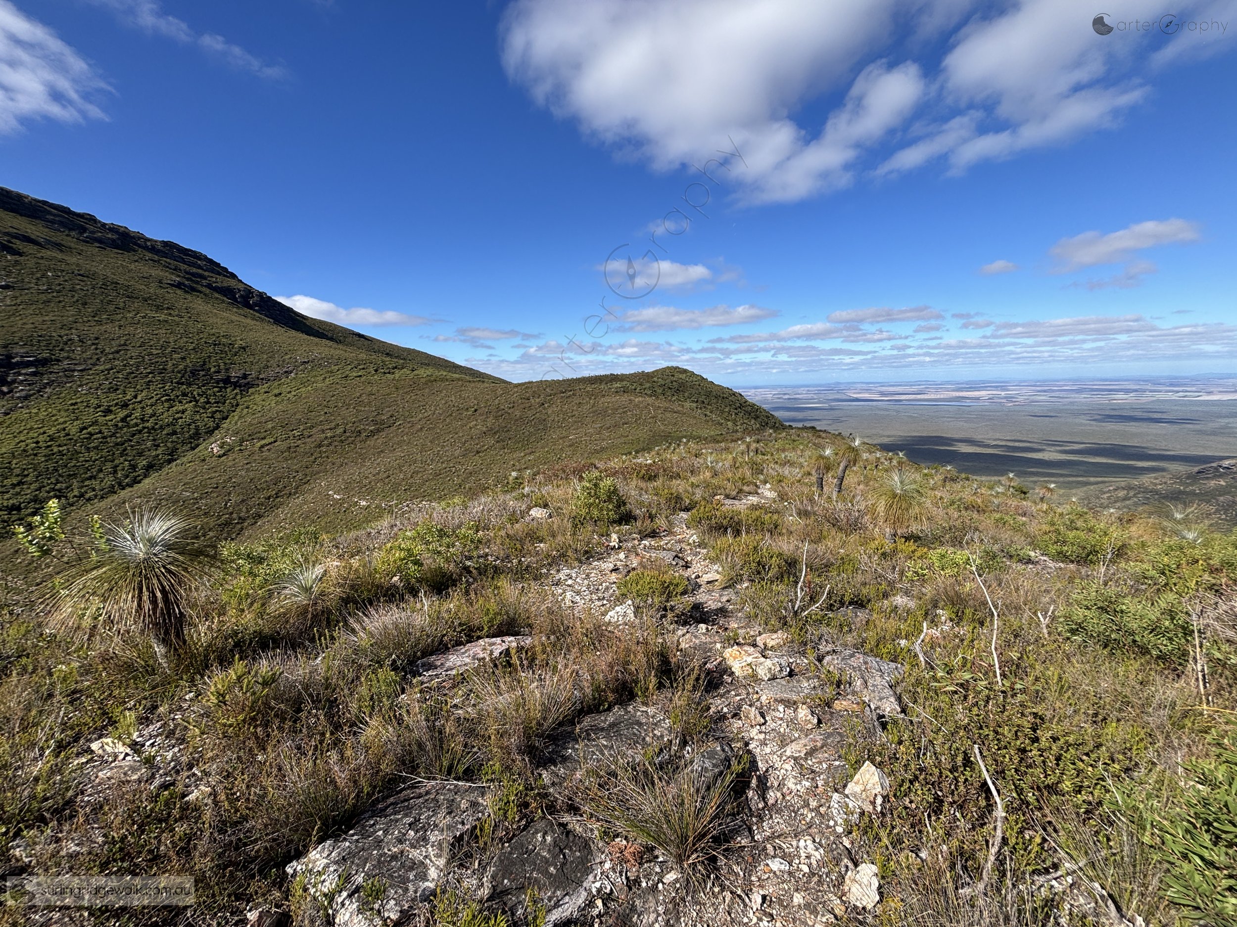 Looking south east to Moongoongoonderup Hill from Ridgeline to Eucalyptus Col.