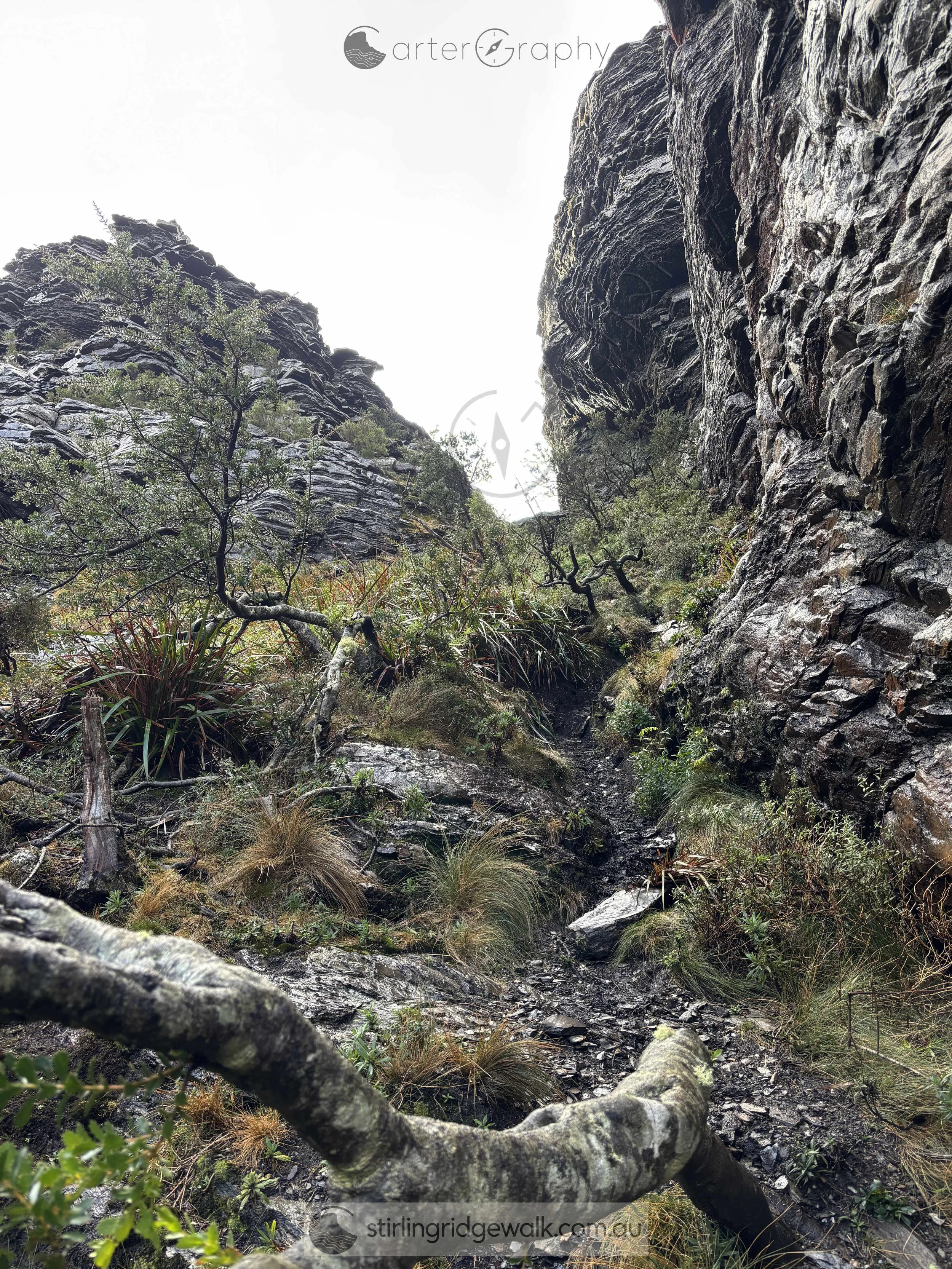 The steep chasm between Pyungoorup Pinnacle and the western face of Pyungoorup Peak. Do not follow the apparent line into the gully. The correct track turns left and continues west around the base of Pyungoorup Pinnacle.