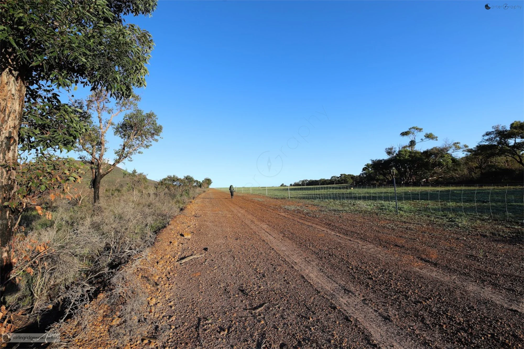 The North Boundary Track  following the northern edge of Stirling Range National Park beside adjoining farmland.