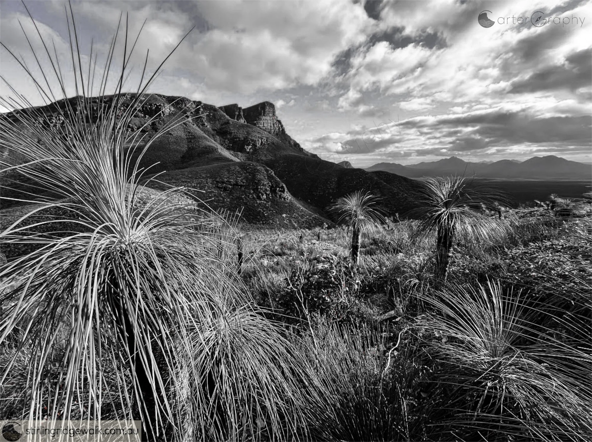 East Peak and Bluff Knoll dominate the centre of the view, with the Western Peaks of the Stirling Range extending across the skyline to the right.