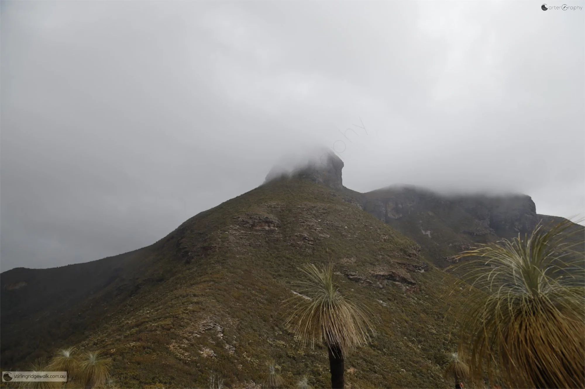 Ellen Peak shrouded in low cloud, viewed from the knoll north of Ellen Peak campsite, with the North East Ridge leading towards the base of Ellen Peak before disappearing into the cloud.