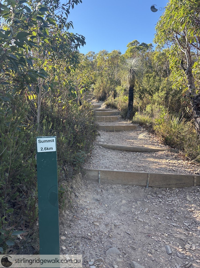 Well formed track with plenty of steps.