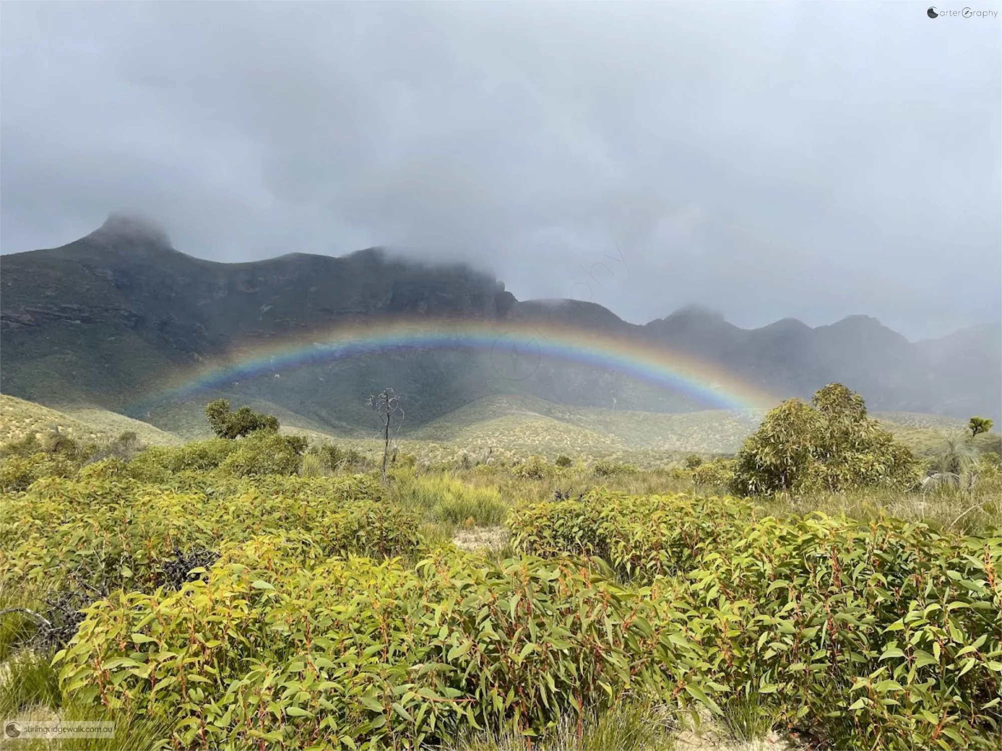 A rainbow beneath low cloud across the Stirling Ridge Walk, viewed from the northern ridge on the approach to Ellen Peak.