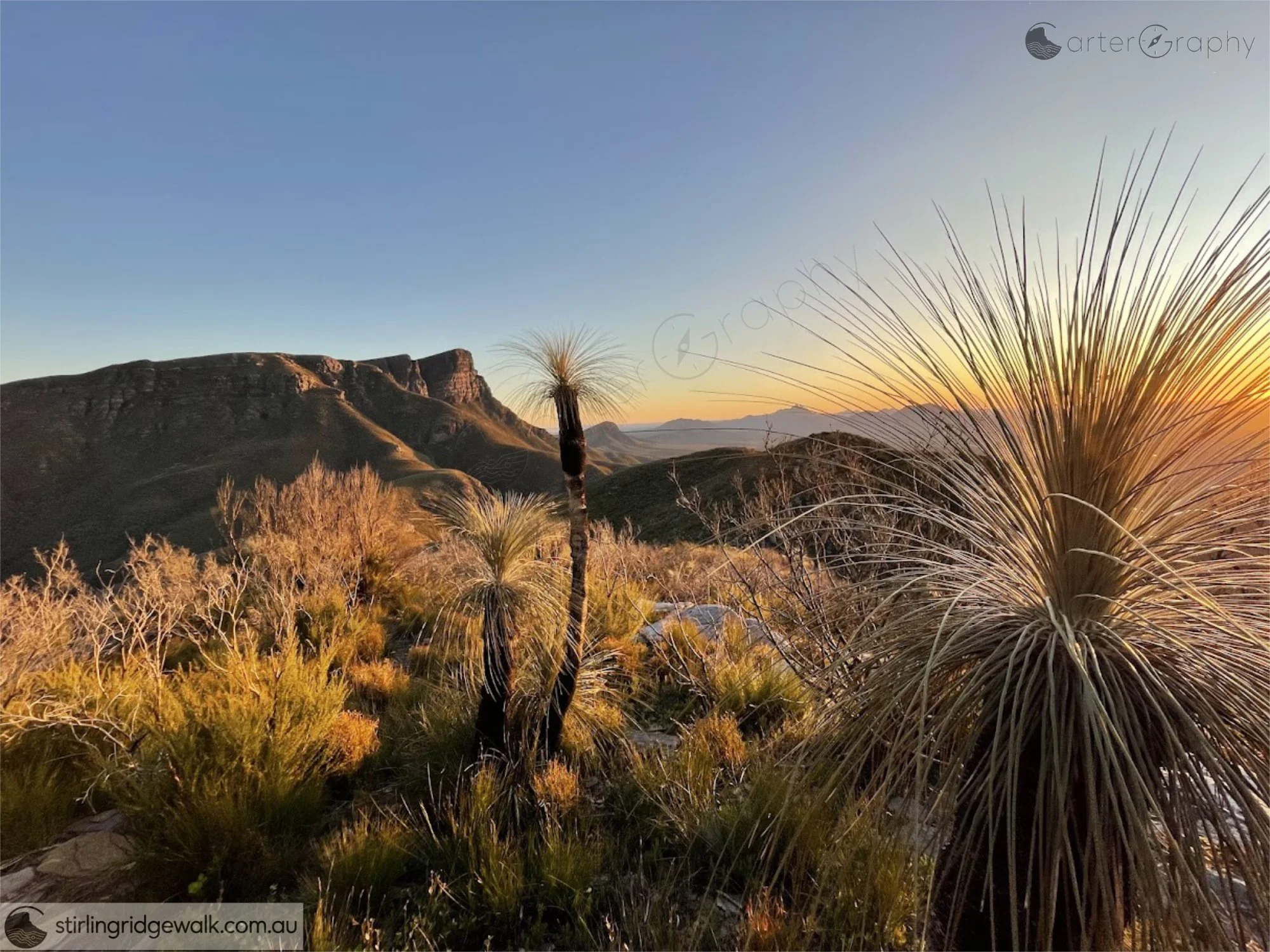 Taken from the hill north west of Eucalyptus Col in the warm light of sunset, looking towards East Peak and Bluff Knoll, with grass trees dominating the foreground and the Western Peaks of the Stirling Range visible in the distance to the right.