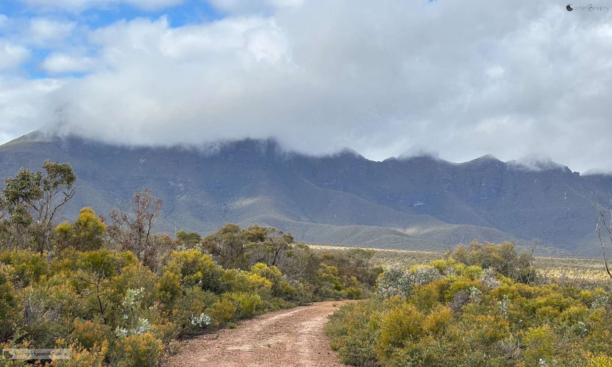 A sweeping view of the Stirling Ridge from the North East Track, with low cloud obscuring much of the higher terrain.