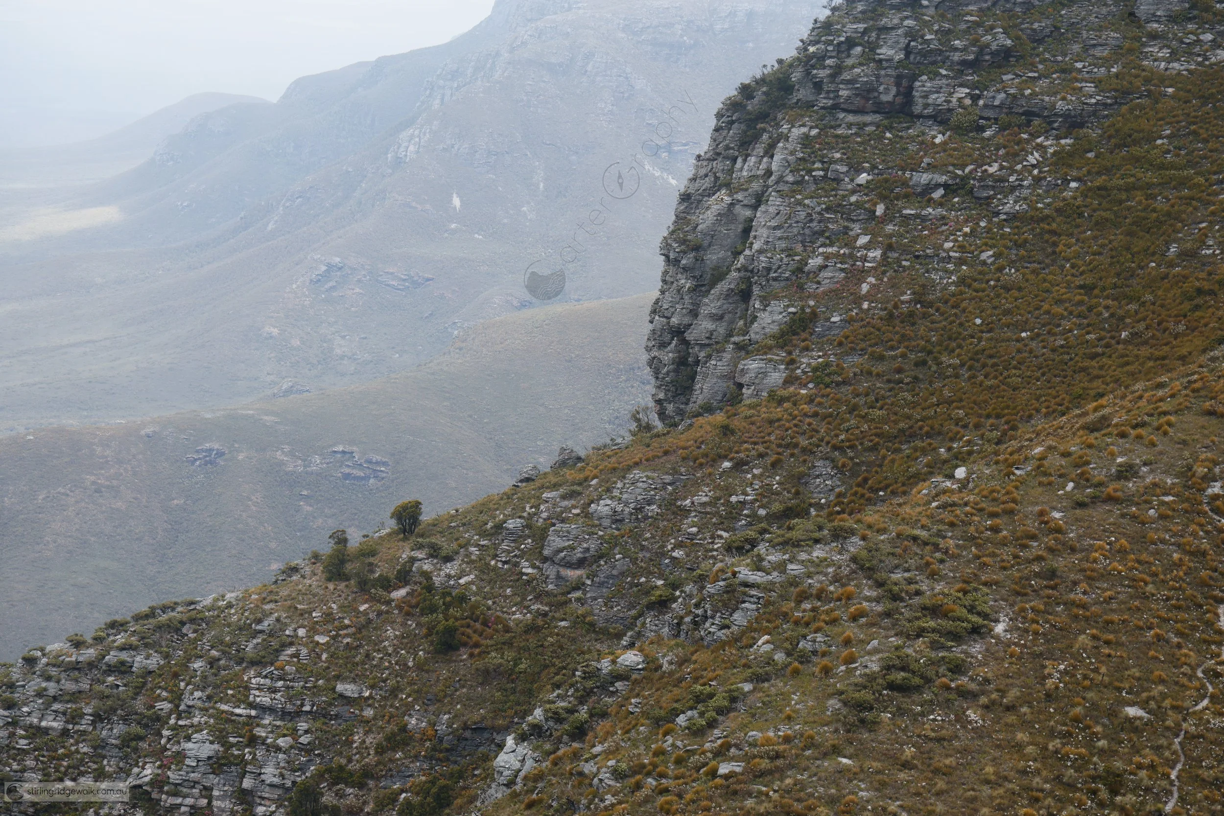 Looking west from the summit of Ellen Peak, zoomed in on the steep southern approach from the yellow ground marker just east of Pyungoorup Peak. Pyungoorup Cave is tucked around the southern side of the peak and is just out of view.
