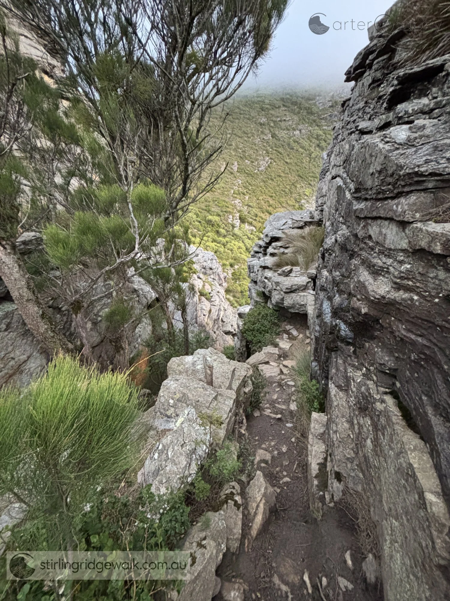 Looking down from the top of the Rock Castle Gully, which separates the two Rock Castle formations. Descent leads into  Sheoak Col.