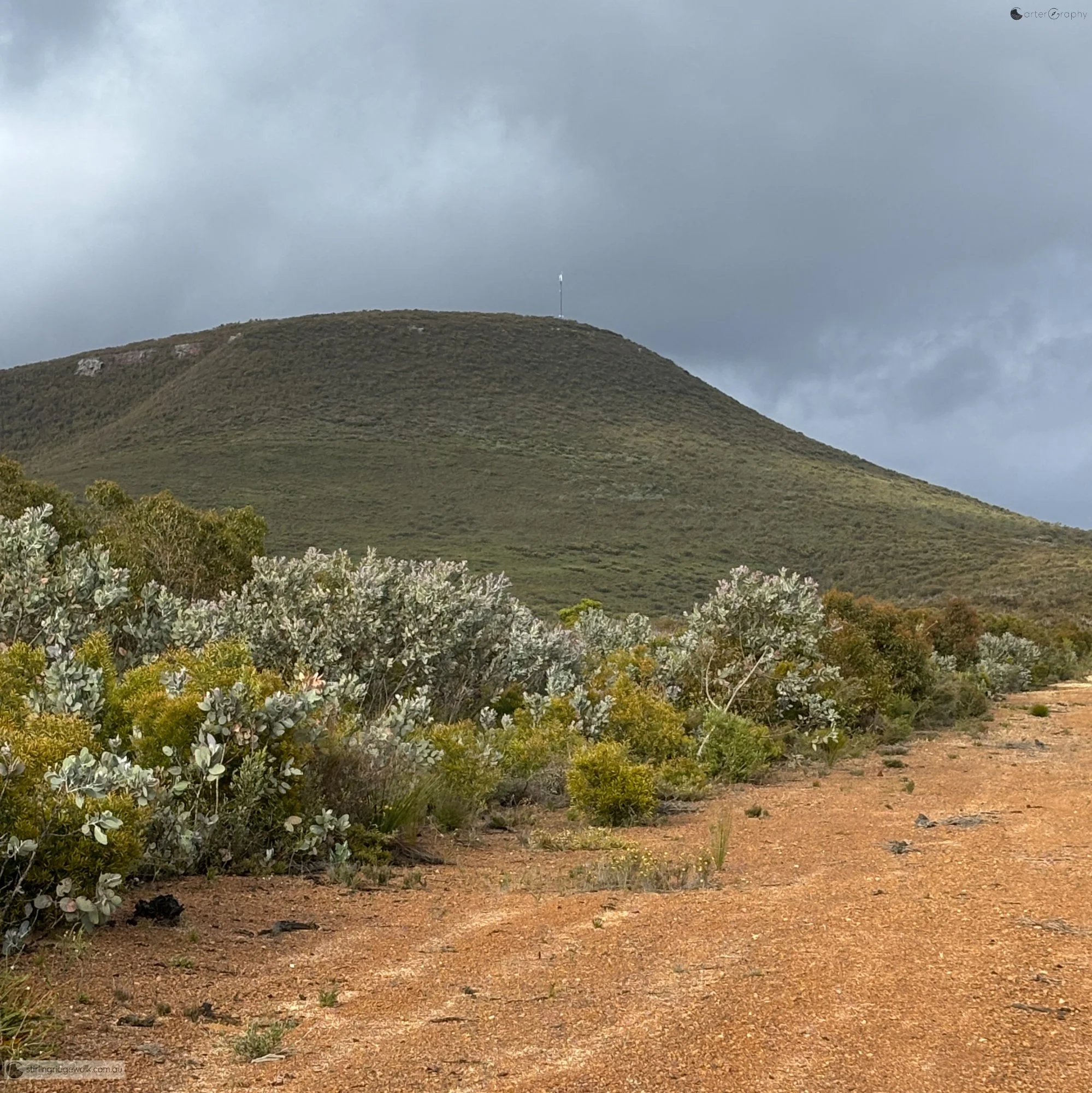 Approaching Moir Hill along the North East Track, with the summit rising ahead beneath low cloud.