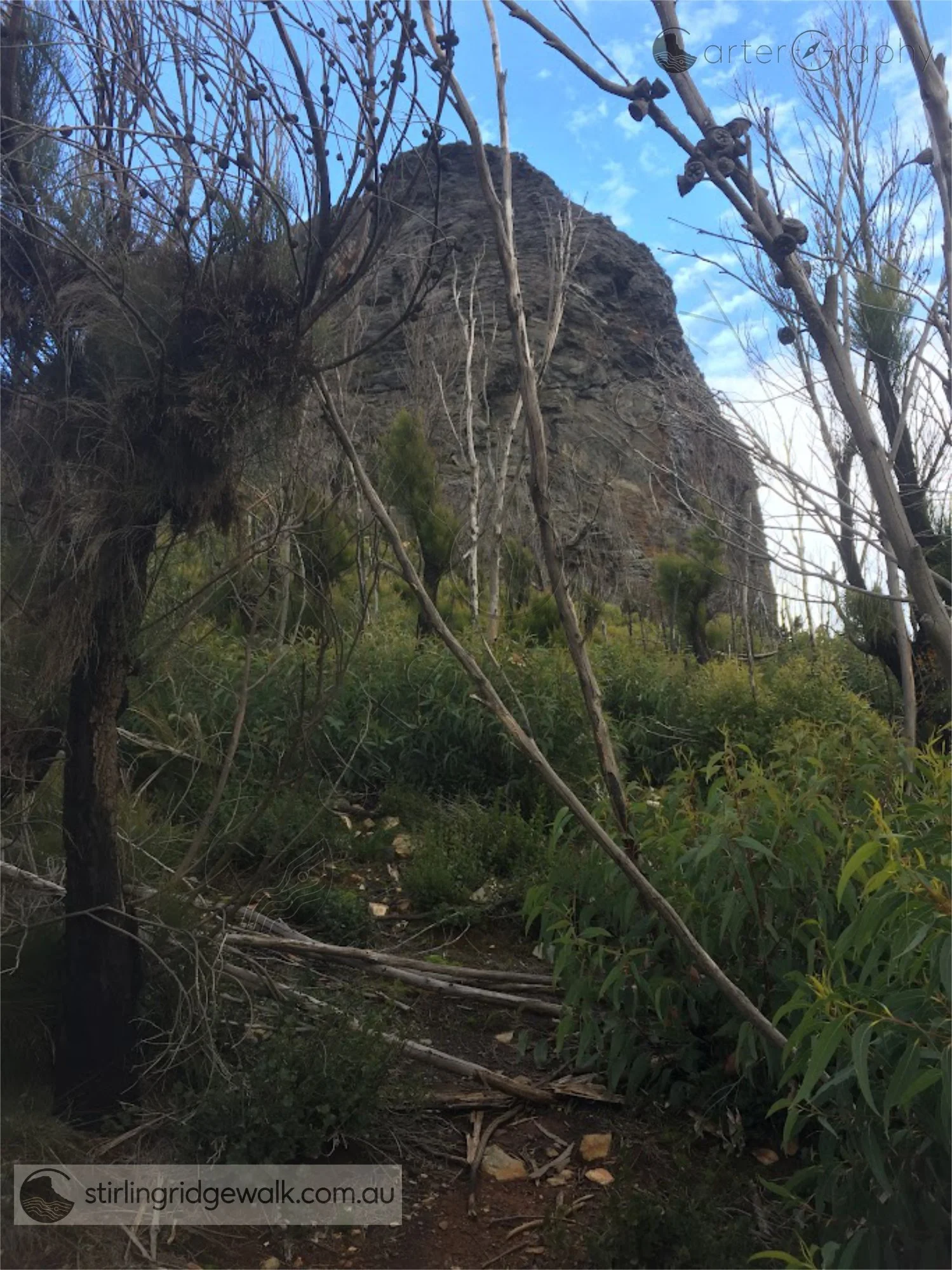 Approaching the junction where the route divides between the Ellen Peak summit ascent and the traverse around the northern base of the peak.