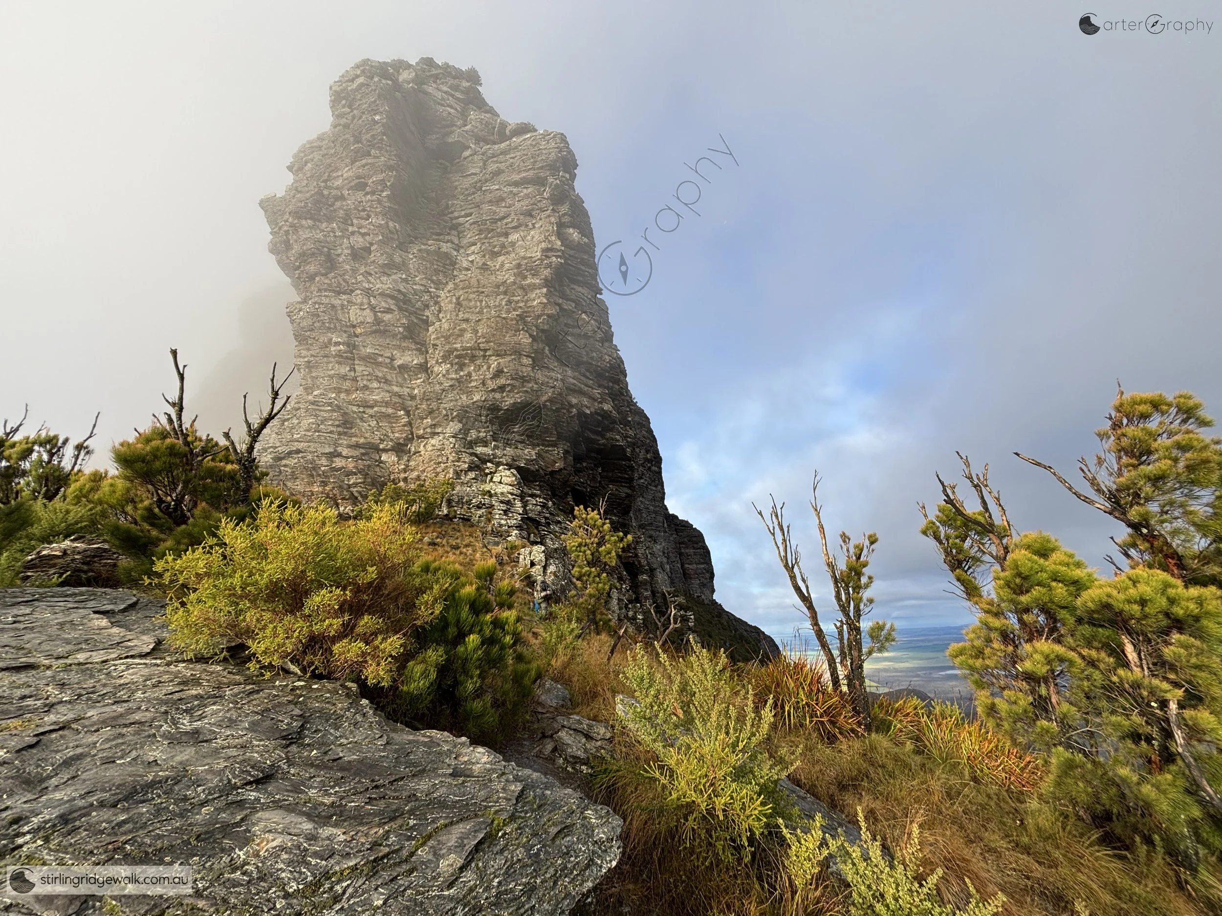 Looking east from near Baker’s Knob campsite towards the imposing rock face of Pyungoorup Pinnacle. Pyungoorup Peak lies directly behind the Pinnacle and is obscured from view.