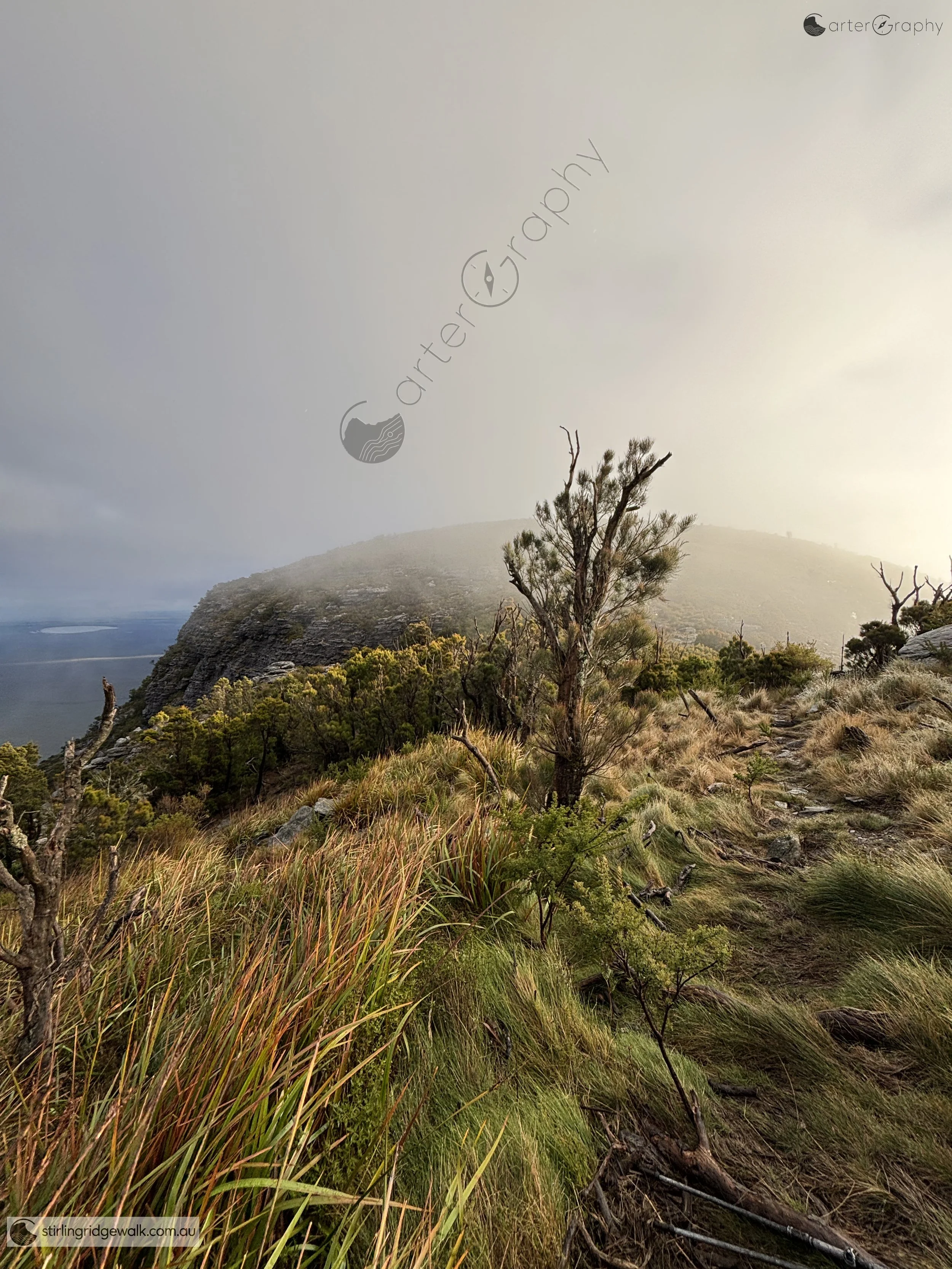 Baker’s Knob viewed from just west of Pyungoorup Pinnacle, with low cloud drifting across the surrounding Ridge.