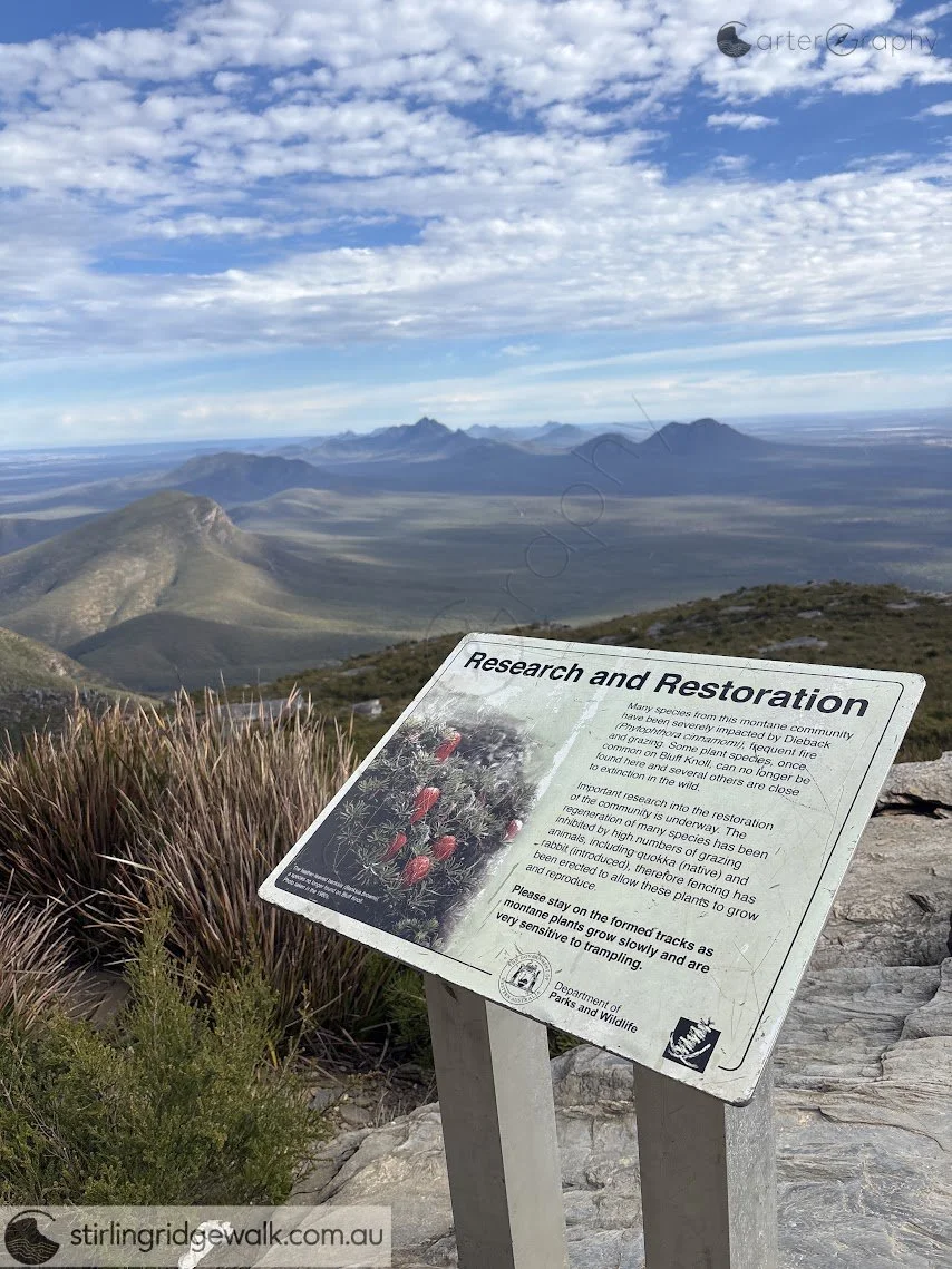 Mount Success on the left , then Yungemere Peak and in the centre, Mount Toolbrunup to the west