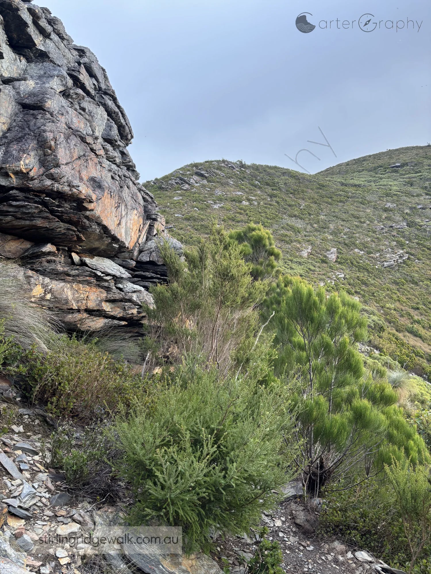 Looking from the bottom of the Rock Castle Gully towards the track leading to Sheoak Col, with the ridgeline leading towards Isongerup North Peak visible in the background.