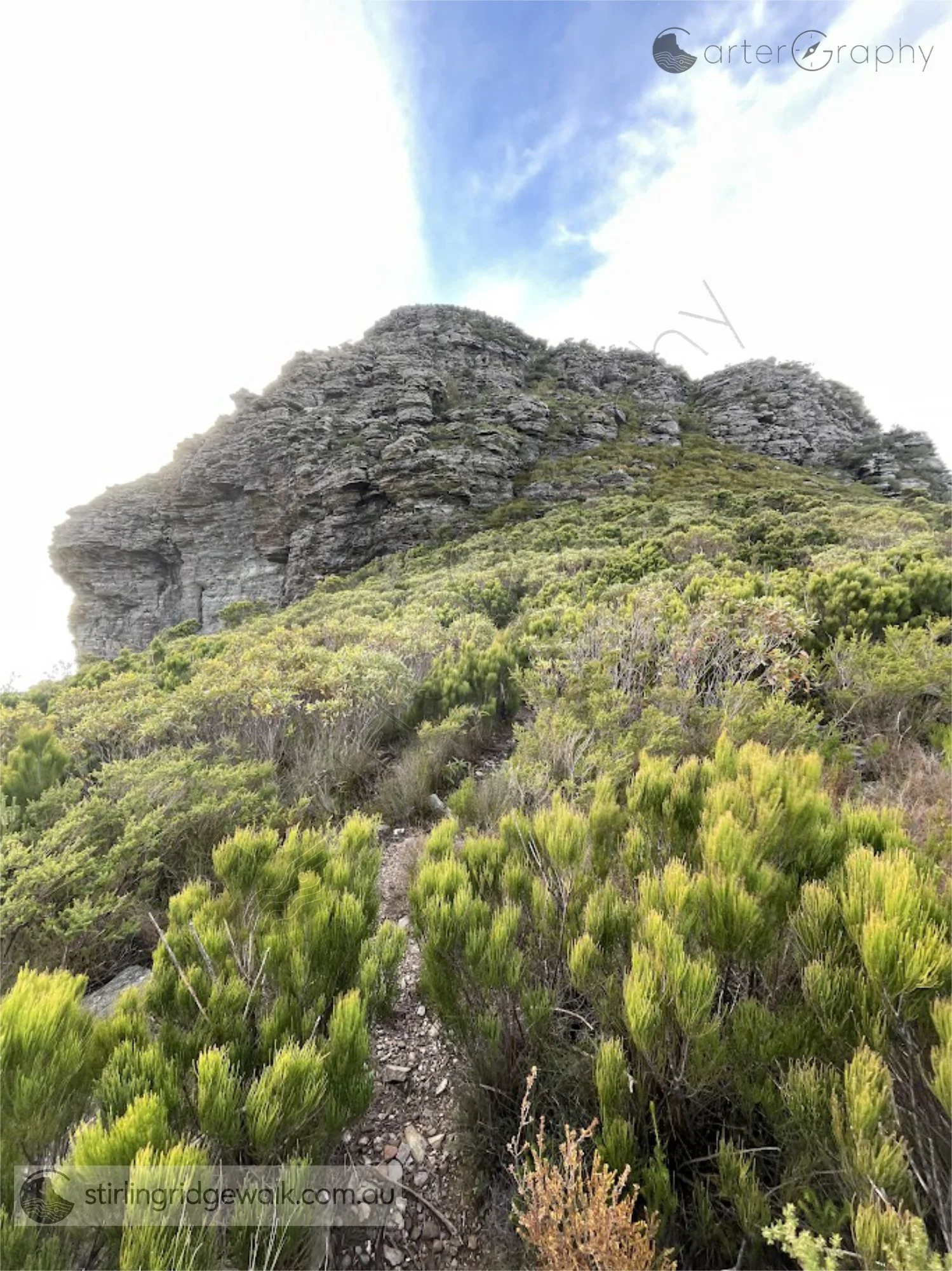 Looking east from the saddle between Ellen Peak and Pyungoorup Peak towards the two rocky summits of Ellen Peak, with the main summit on the left.