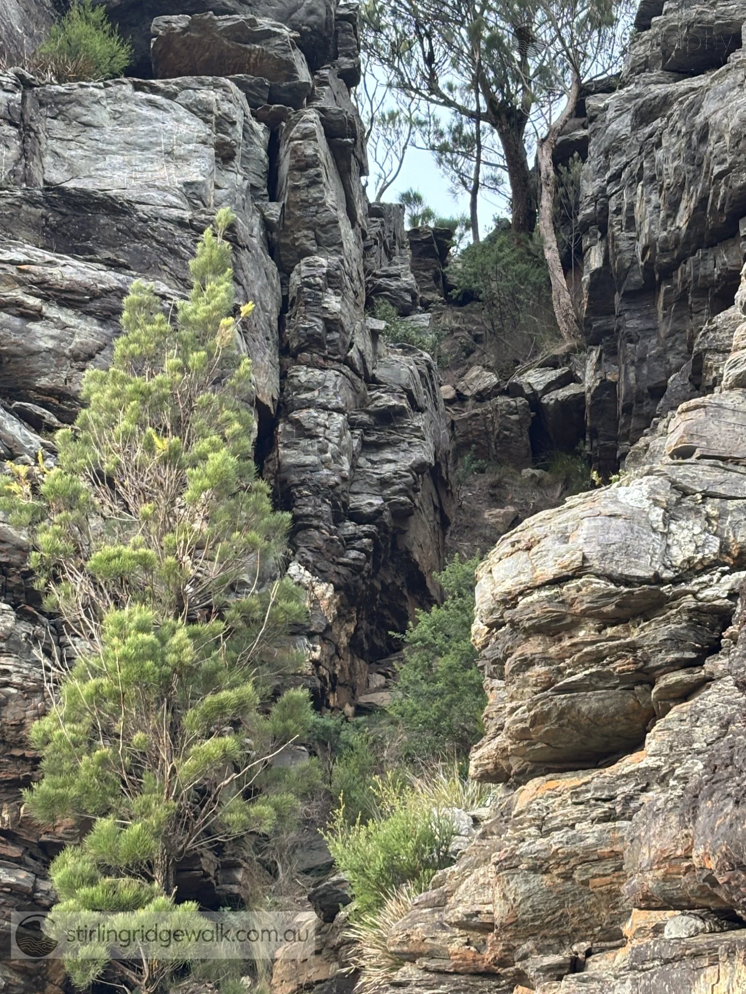 Looking east from the bottom of the Rock Castle Gully, through the narrow cleft separating the two Rock Castle formations.