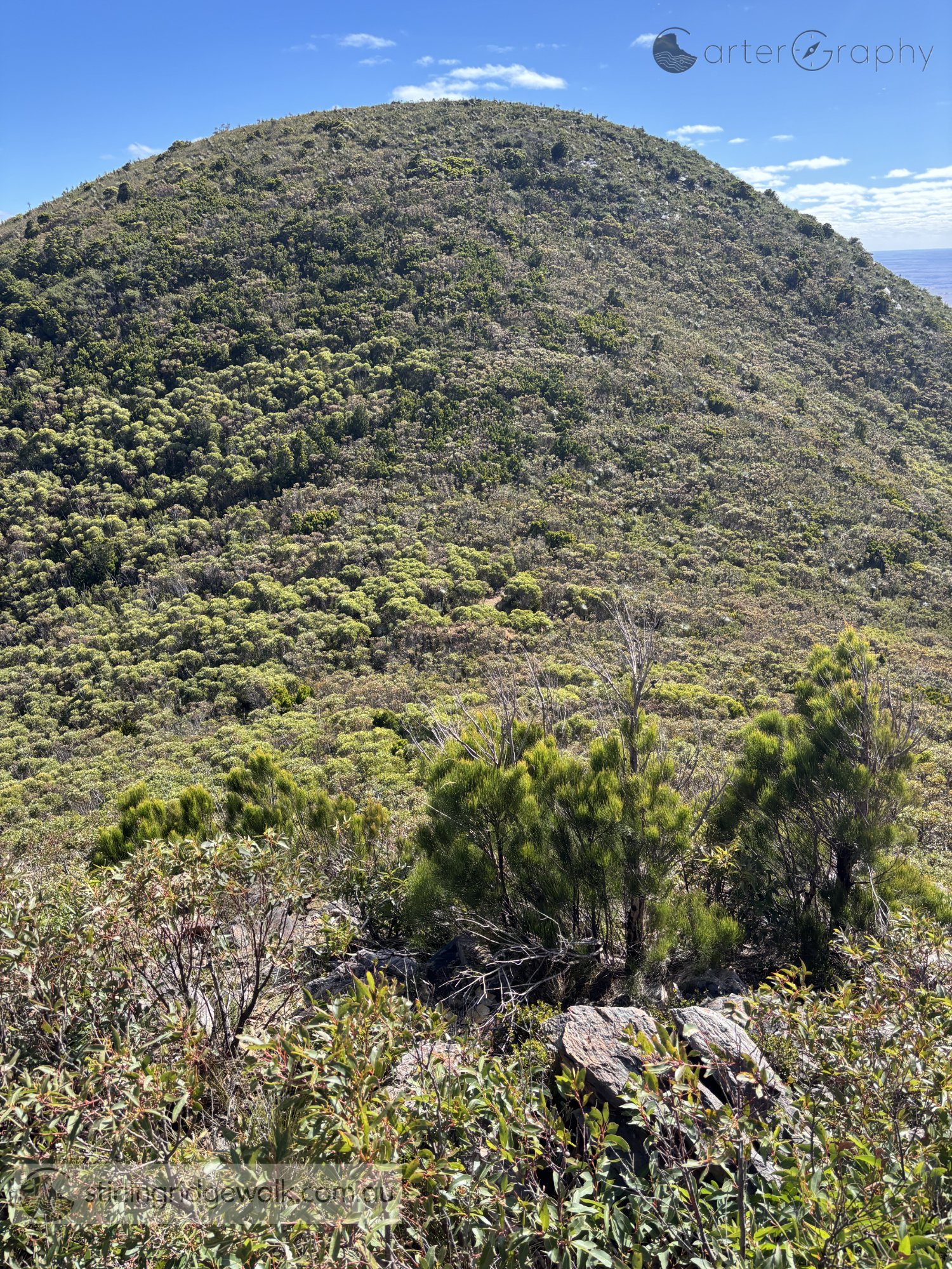 Taken from the north west end of the ridgeline leading towards Eucalyptus Col, looking along the steep vegetated ridge towards the saddle of Eucalyptus Col, a popular campsite and the most spacious campsite on the entire Stirling Ridge Walk.