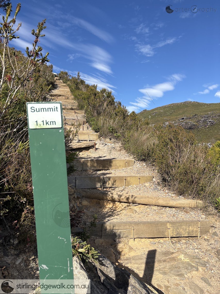 View to Coyanarup to the SSW.