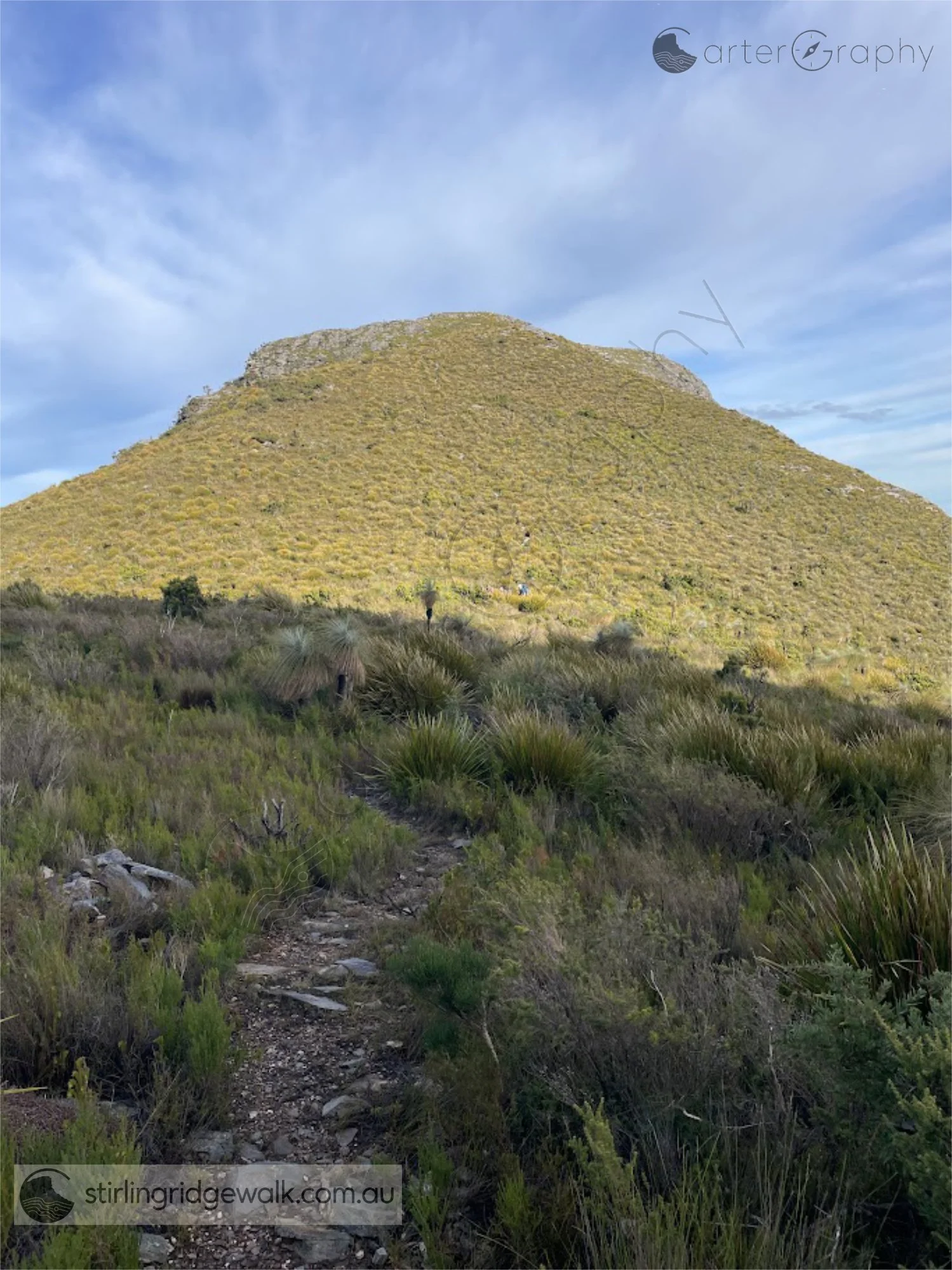 Looking west from the saddle between Pyungoorup Peak and Ellen Peak, with the hill immediately to the west dominating the view and the main summit of Pyungoorup Peak just visible to its right.