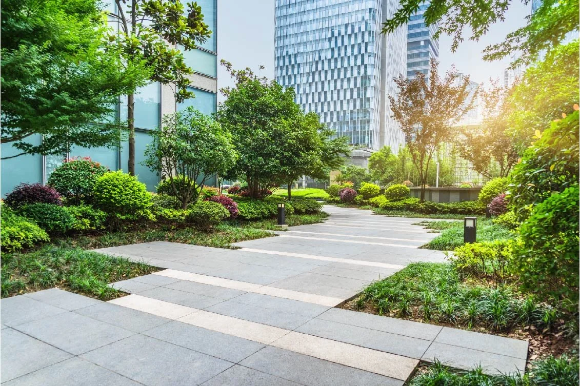 Landscape Management