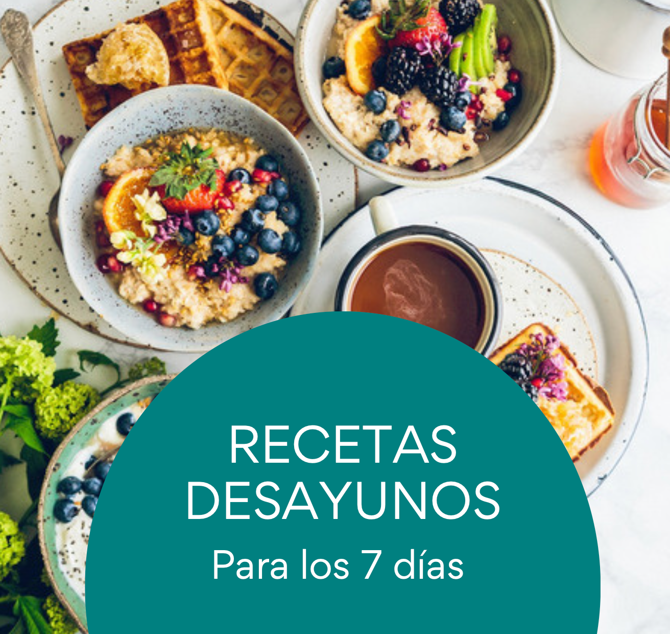 dieta ebook, bikini body descargable, plan nutricional, bajar de peso, bienestar