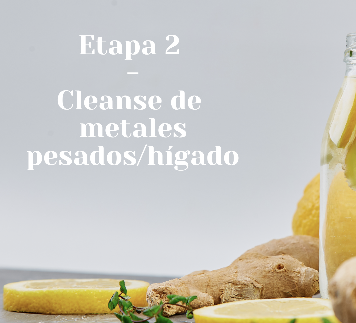 Screenshot 2026-04-09 at 09.01.02.png