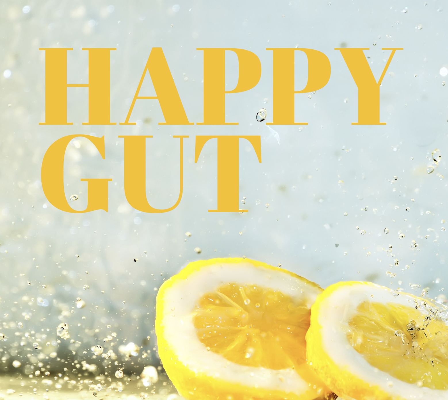 Happy Gut (English)