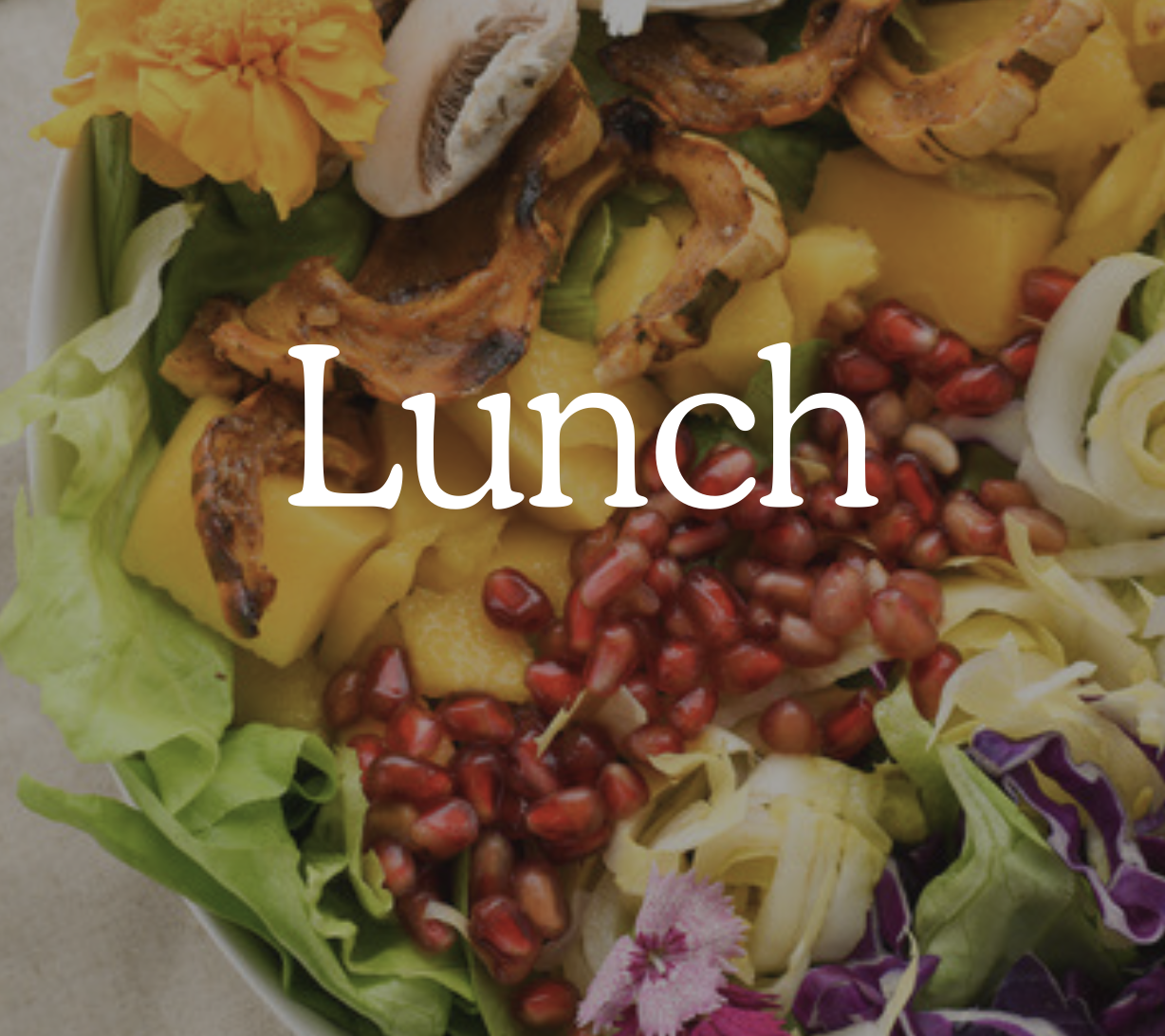 immunity power, immunity diet, healthy recipes pdf, instant download healthy gut health diet