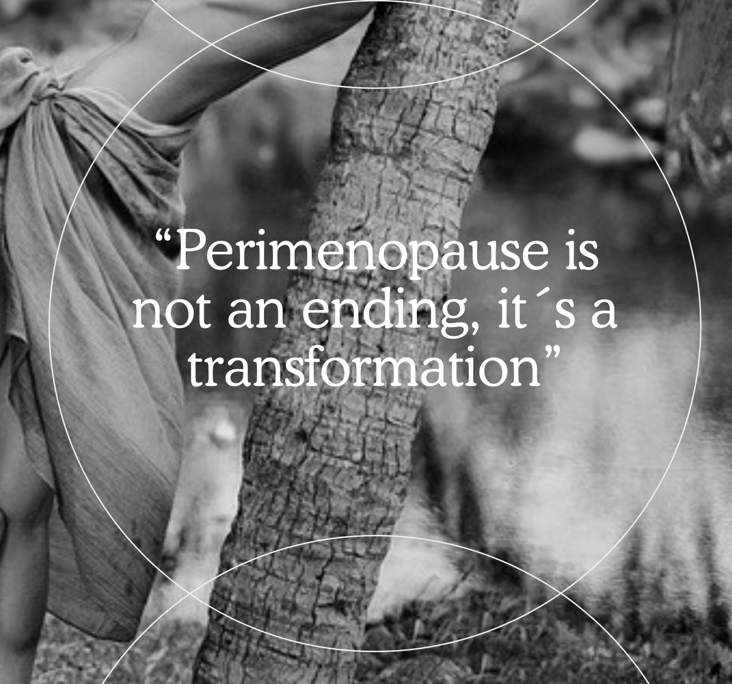 Downloadable perimenopause guide, recipes, tips and information for perimenopause ebook