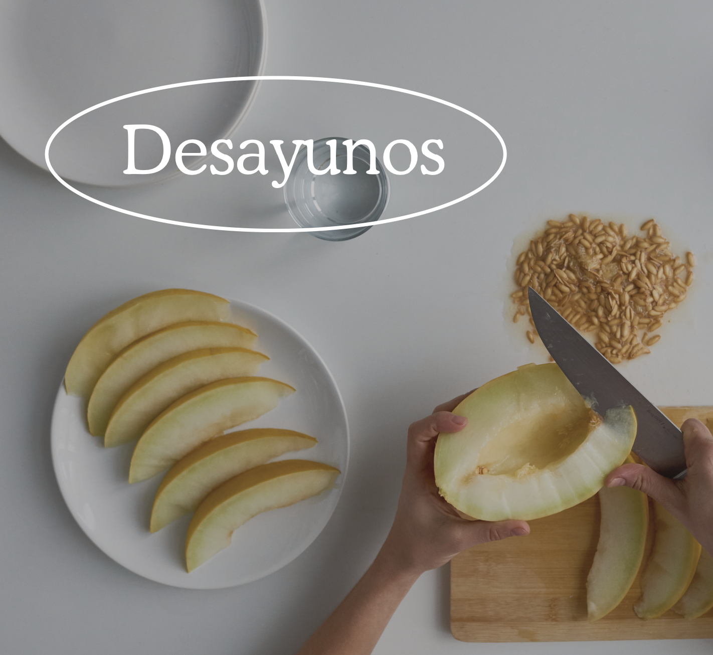 guia descargable perimenopausia, recetas tips e información para la menopausia ebook