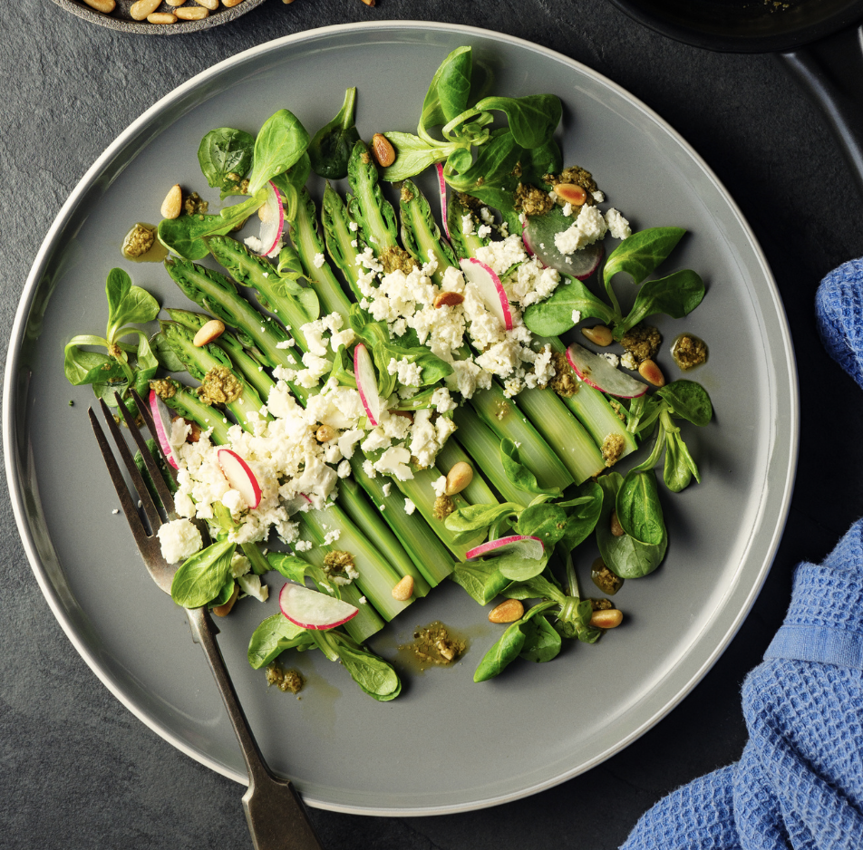 immunity power, immunity diet, healthy recipes pdf, instant download healthy gut health diet