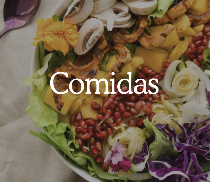 immune power ebook, recetas descargables saludables, dieta inmunidad y bienestar
