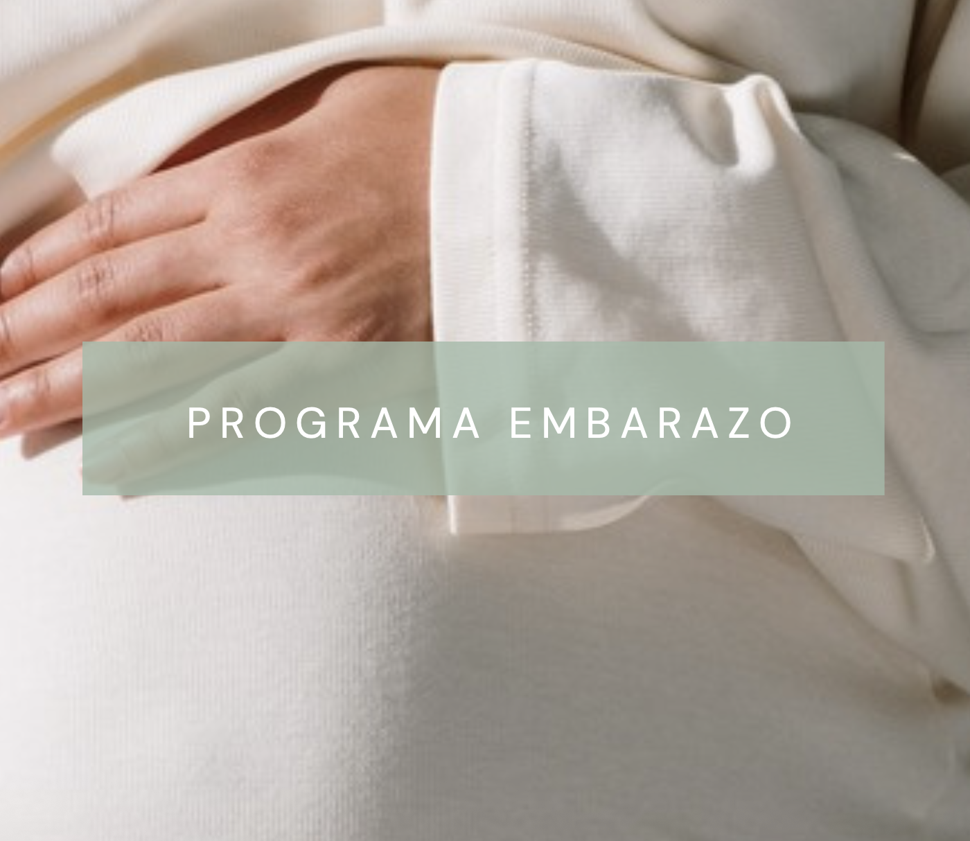 PLan nutricional embarazo, dieta saludable embarazo