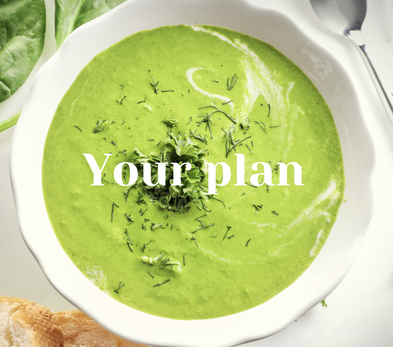 the healing plan, thryoid help, hormones nutritunional ebook, hashimoto diet, thryoid helping foods